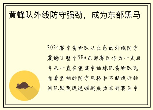 黄蜂队外线防守强劲，成为东部黑马